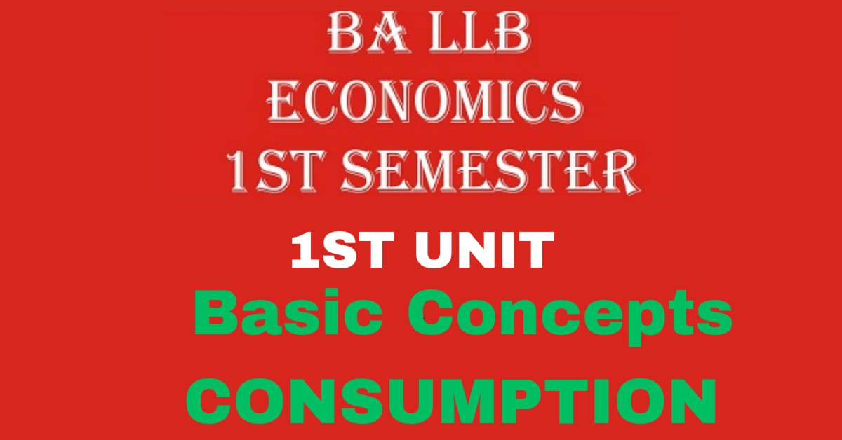 What is Consumption? Explain its Importance and Features.